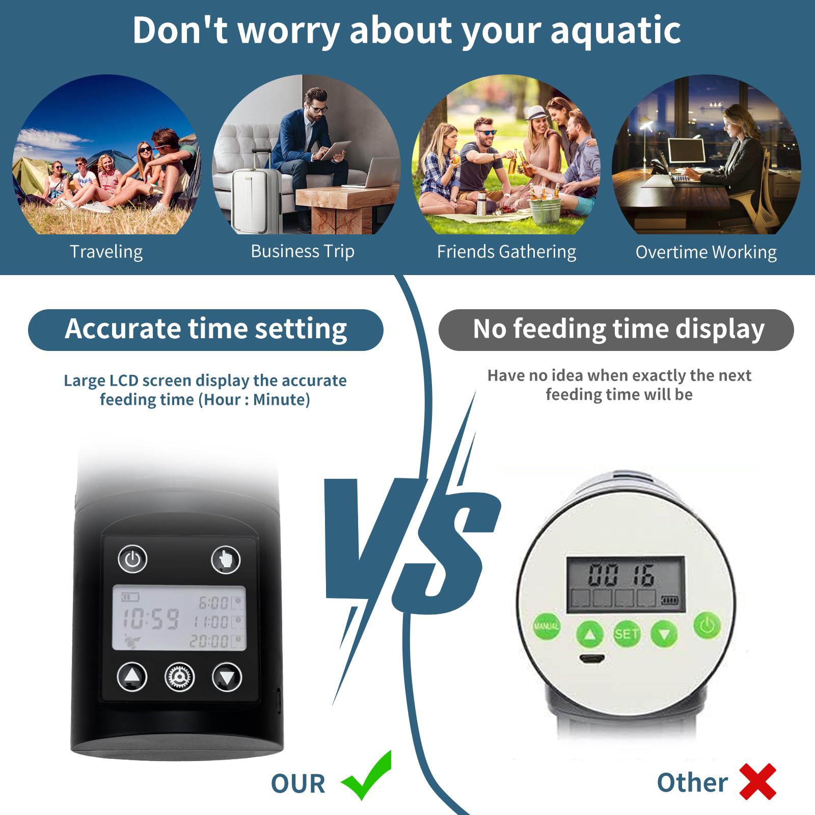 Podazz Mangeoire automatique pour poissons