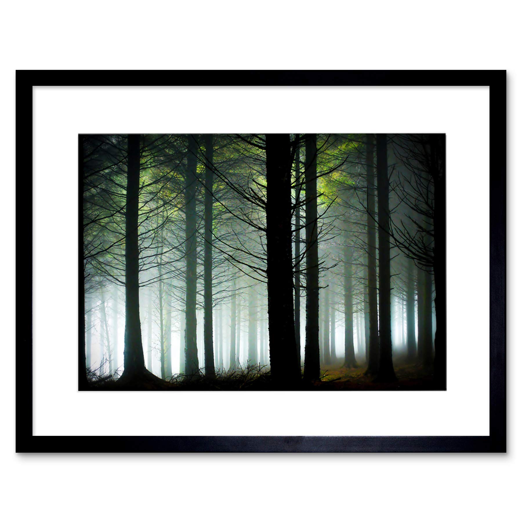 Wee Blue Coo Photo Landscape Forest Pine Tree Sunshine Woods Framed Wall Art Print