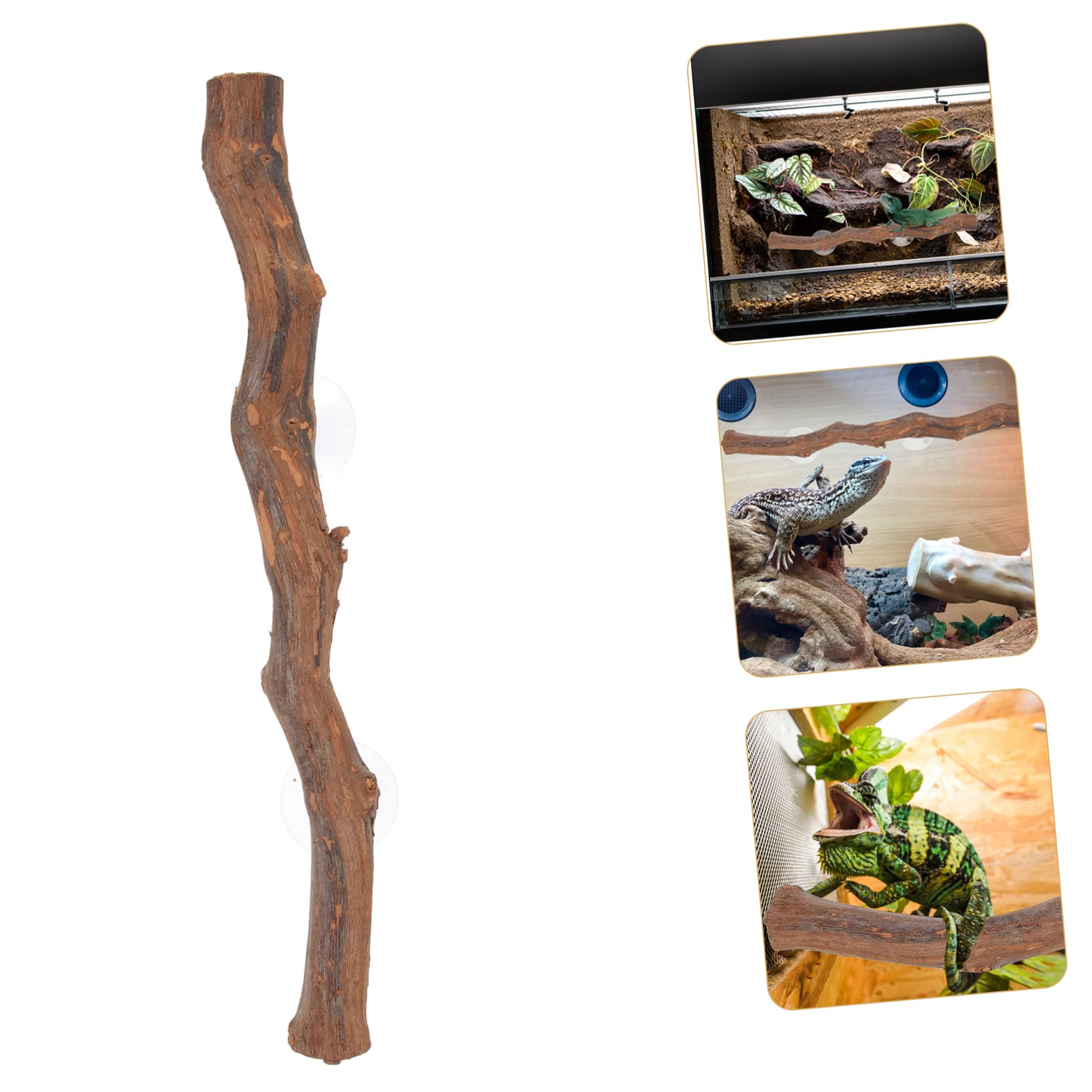 BESPORTBLE Accessorio per Rettili in Legno Superficie Liscia e Bordi Arrotondati, Supporto per Arrampicata e Gioco per Lucertole e Draghi Barbuti per Terrari Domestici