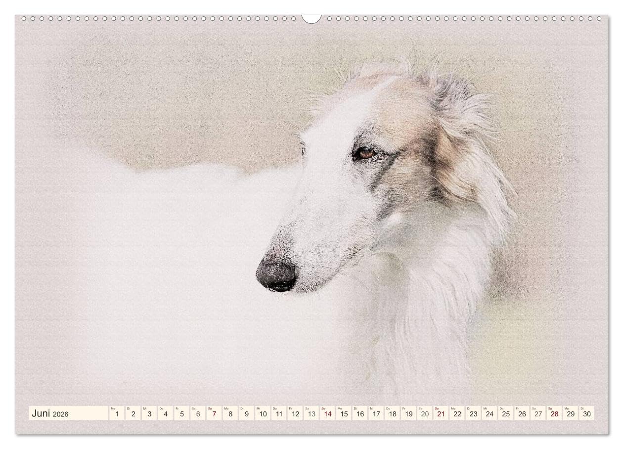 Windhunde 2026 (Wandkalender 2026 DIN A2 quer), CALVENDO Monatskalender: Windhunde - Wunderschön gestalteter Kalender. Jedes Monatsmotiv gleicht einem kleinen Kunstwerk. (CALVENDO Tiere)