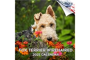 2024 2025 Fox Terrier Wirehaired Wall Calendar