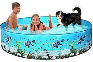 Giant Kid-Friendly and Fido-Approved Hard Plastic Pool