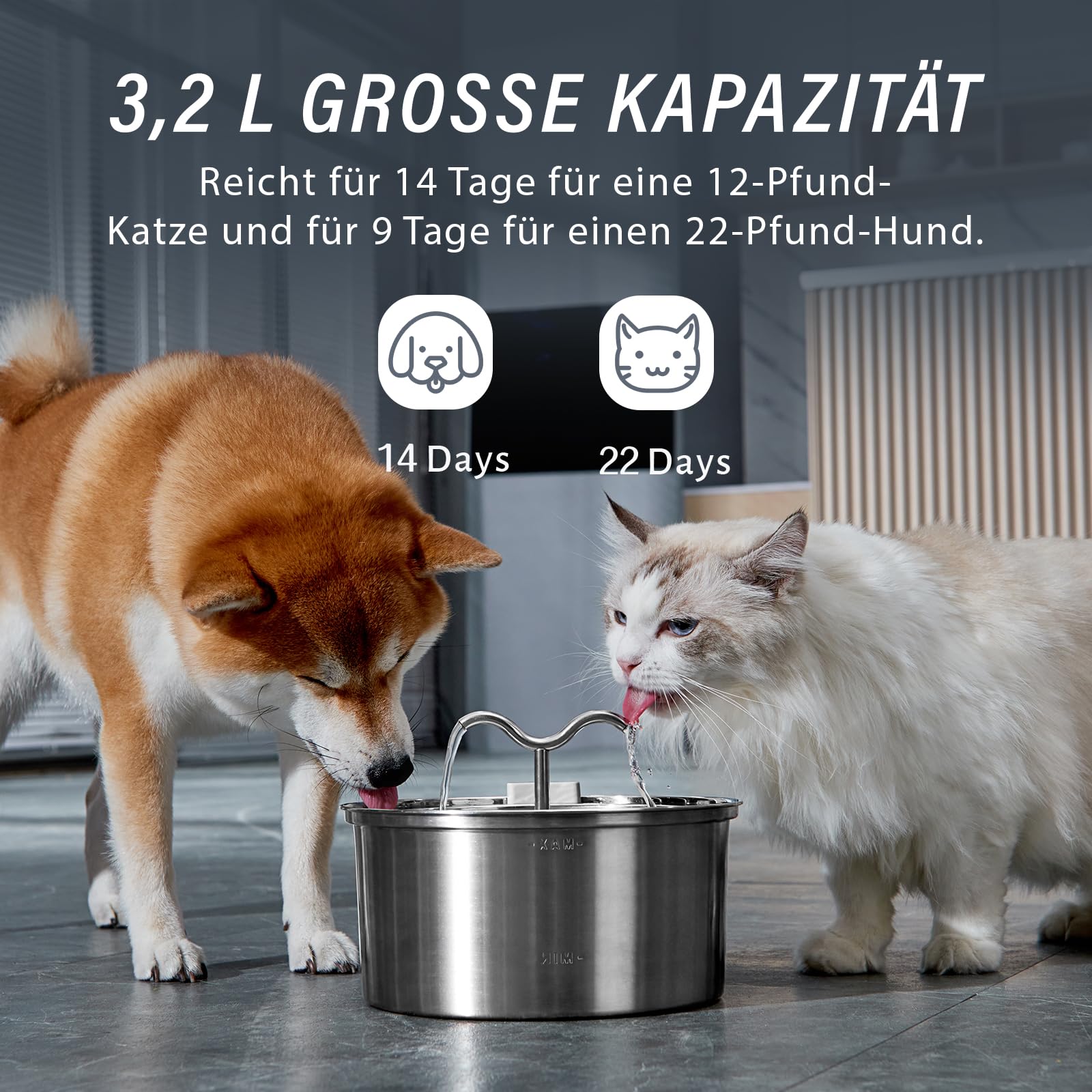 DOOOB Katzentrinkbrunnen, 3,2L Katzen Trinkbrunnen, Katzenbrunnen Edelstahl mit Ultra-Leiser Pumpe, Automatischer Trinkbrunnen für Katze und Kleine Hunde, Inkl. 1 Filter & 1 Schwamm