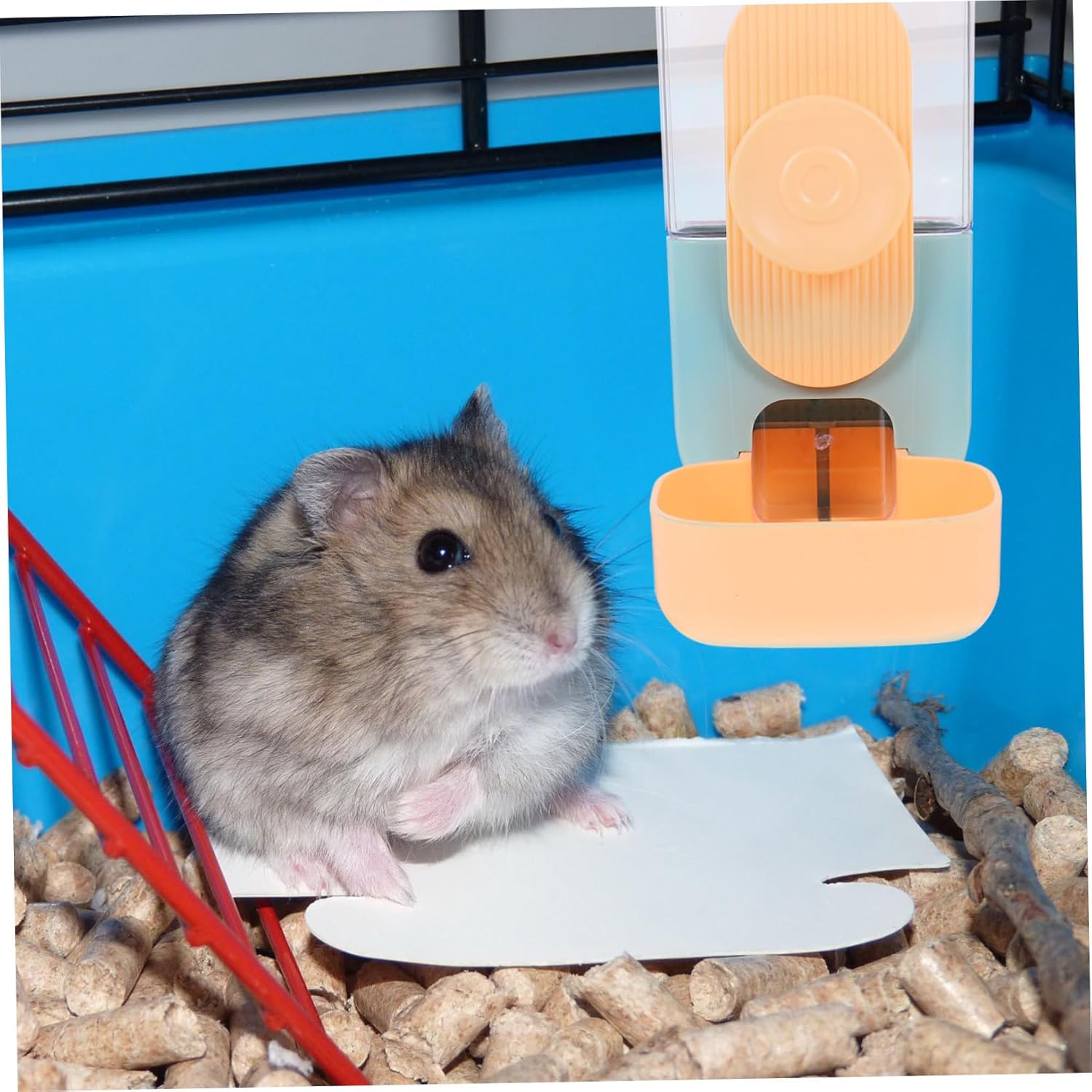 DOITOOL Hanging Automatic Food Dispenser for Guinea Pigs and Cats Feeder Large Capacity Keeps Food Clean and Accessible for Pets