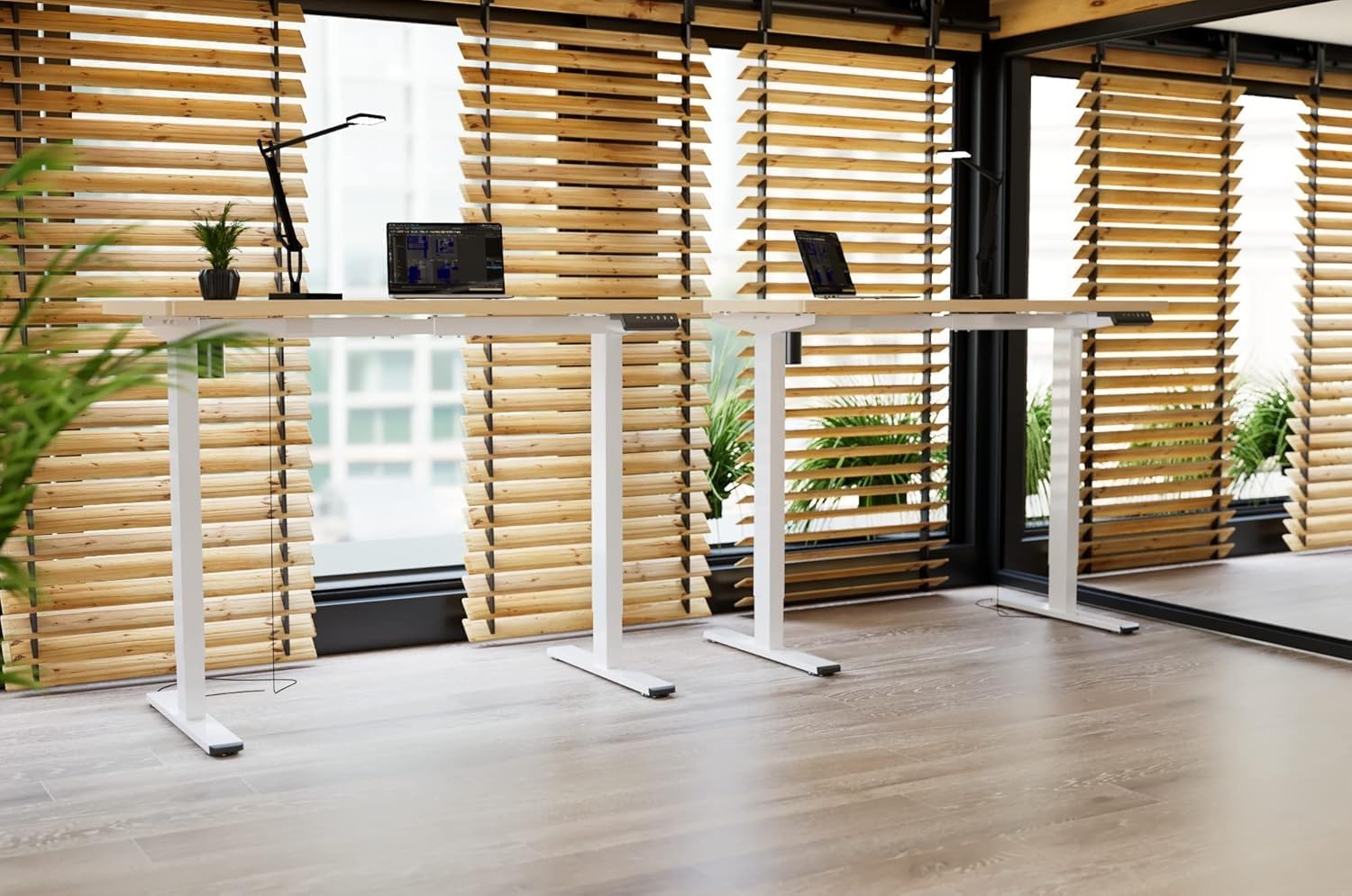 Two FLEXISPOT electric standing desks in an office setting with laptops and plants.