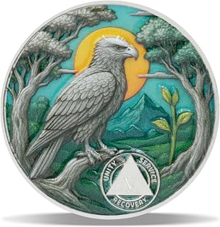 5 Year Soaring Renewal Sobriety Coin – Journey into Serenity NA Medallion – Spiritual Token for Recovery & Clean Time – Empowering NA AA Chips – Gift for Men & Women