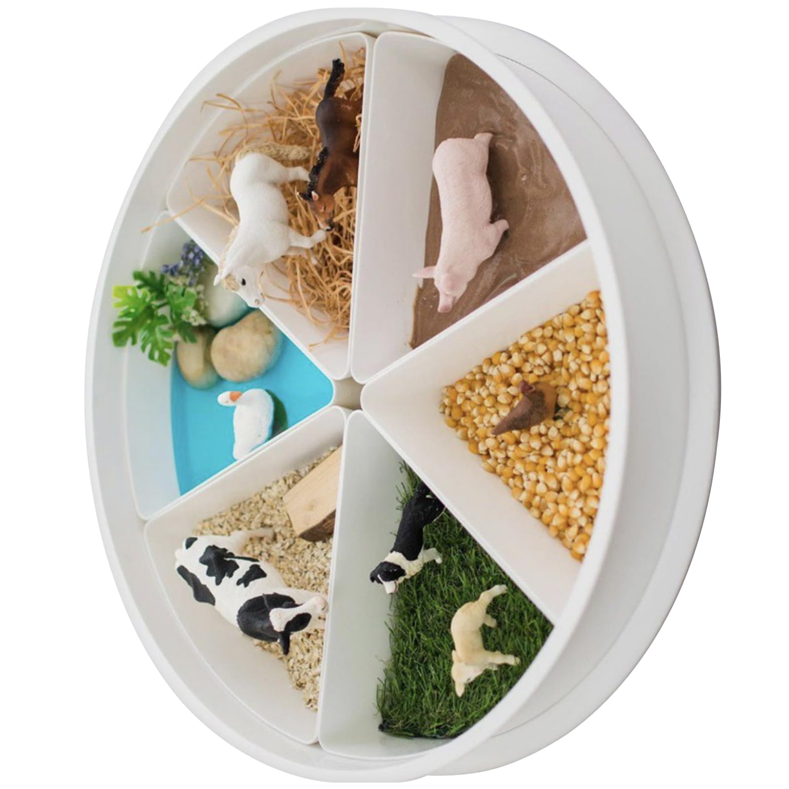 Kits De Bandeja Juego Sensorial con Bandeja Divisoria para Niños Promueve Habilidades Motoras Y Desarrollo La Escuela Desarrollo
