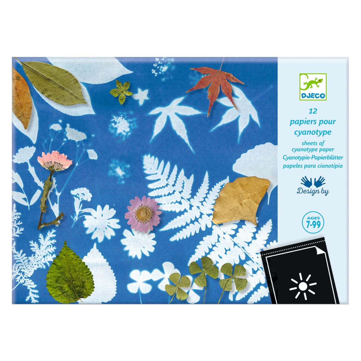 Djeco Blue Dj09338 Cyanotype Papers X 12