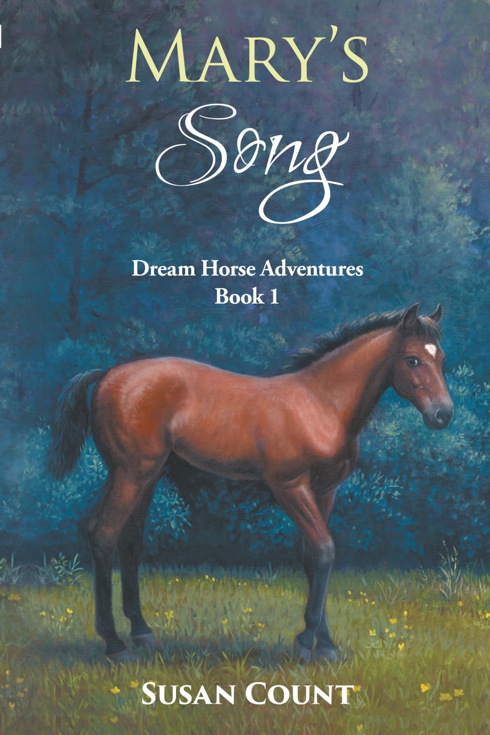 Mary's Song: Volume 1 (Dream Horse Adventures)