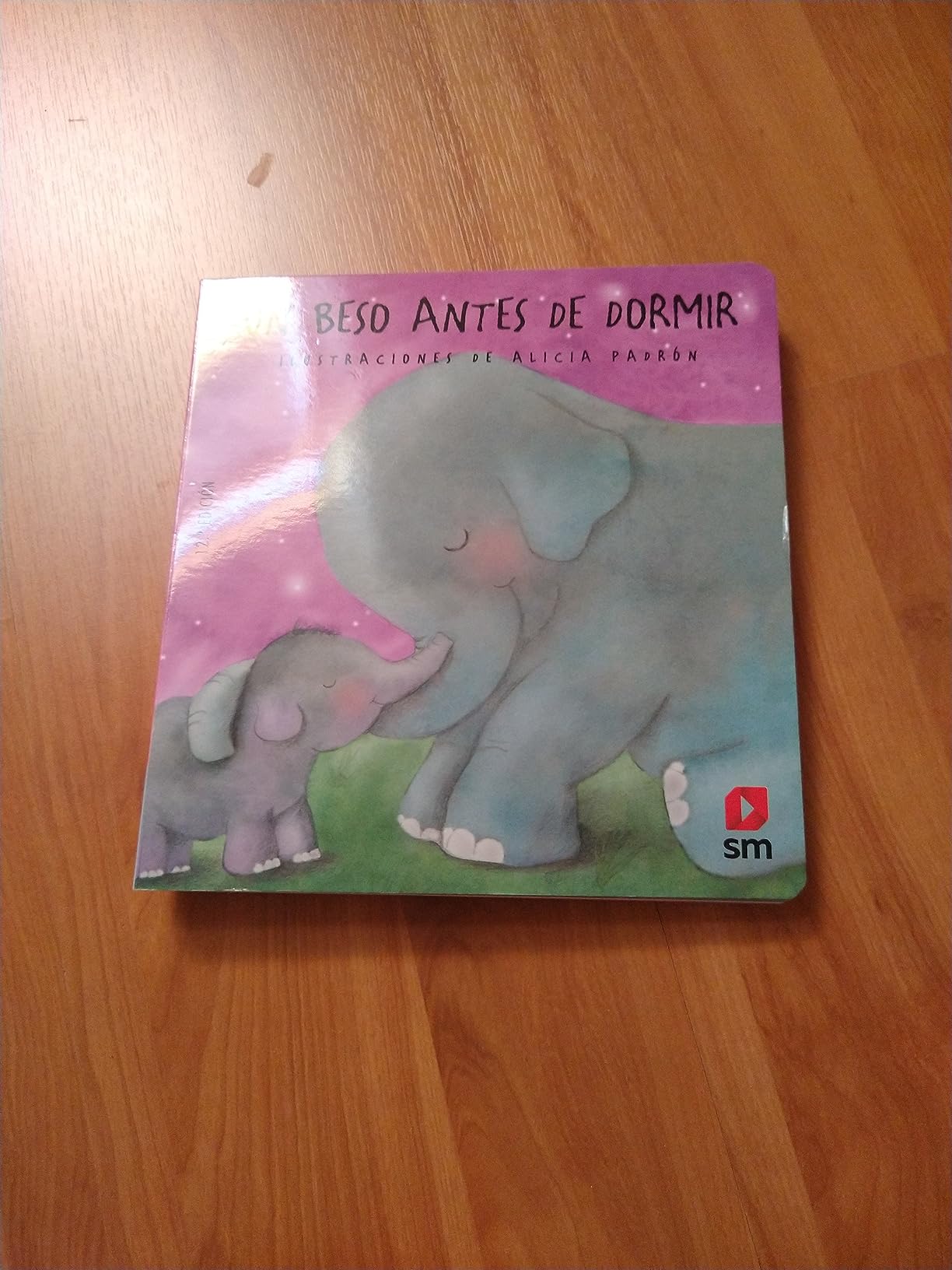 Un beso antes de dormir [Español] : Tellechea, Teresa, Padrón, Alicia: Amazon.es: Libros