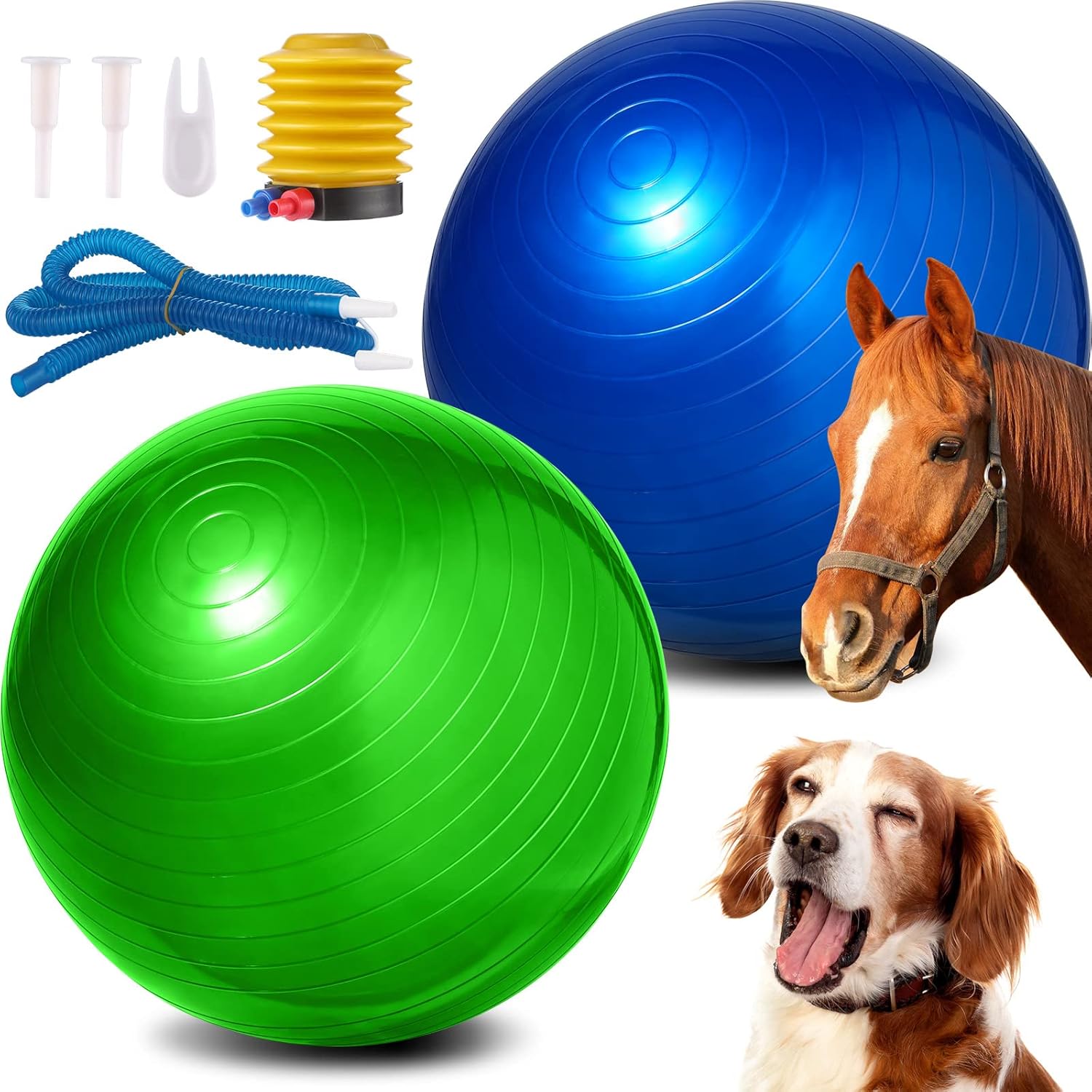 Leyndo 2 Pcs 25.59 Inch Large Horse Herding Balls for Play