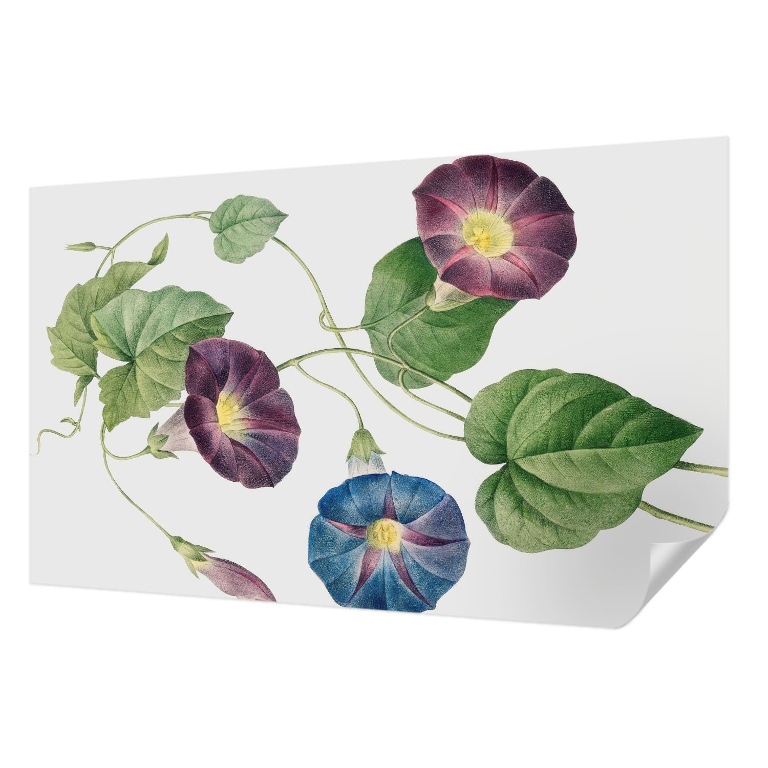 Papier peint adhésif panoramique de haute qualité élégance florale