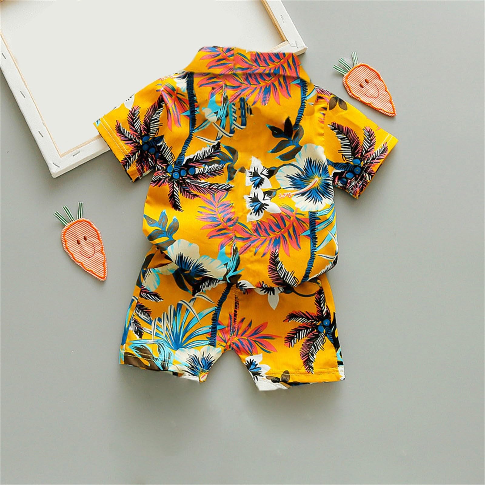 Toddler Baby Boys Shorts Outfits Cute Tropical Botanical Print Casual Hawaii Short Sleeve Shirt Set (C, 3-4 Years)