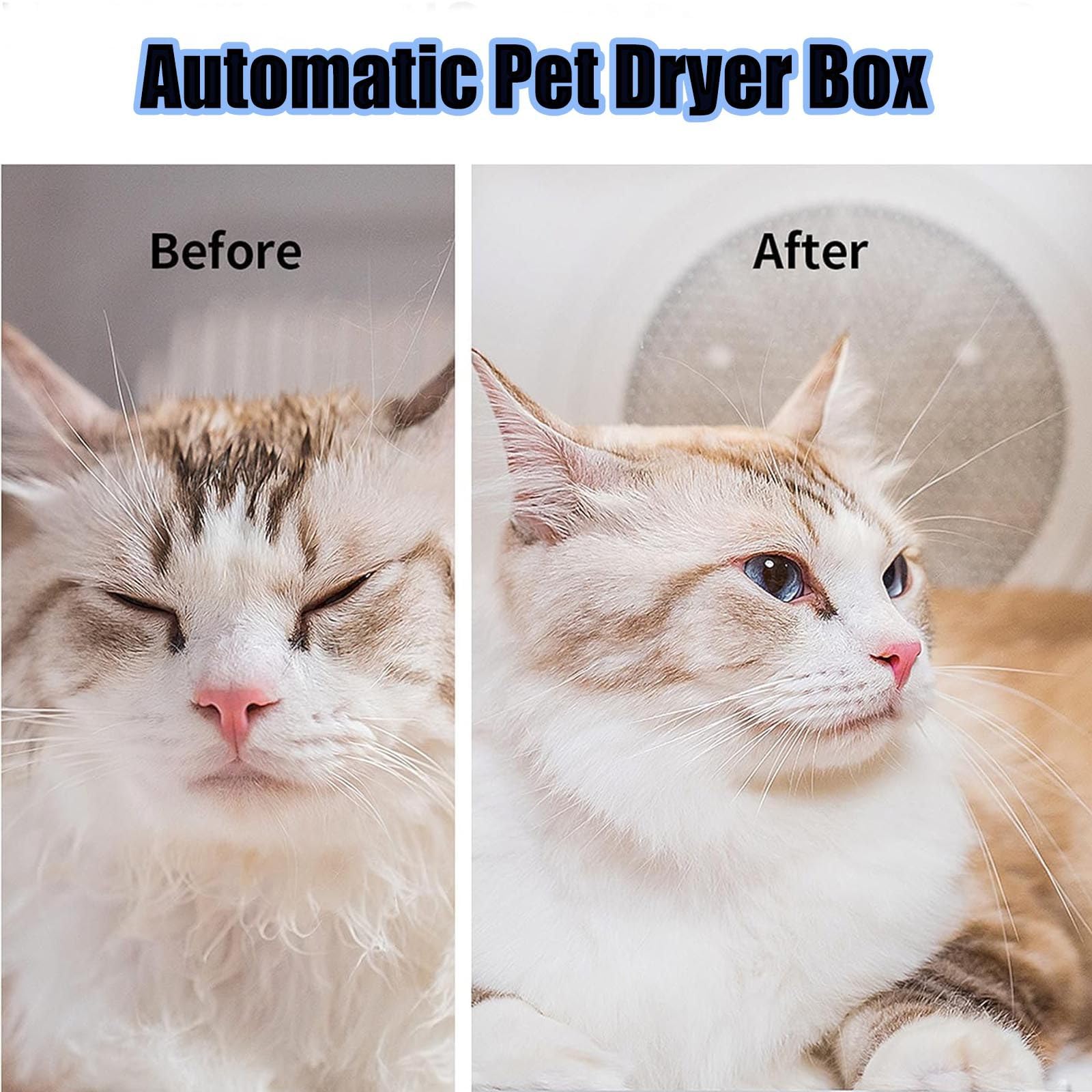 Secador automático para Mascotas para Gatos y Perros pequeños, Caja Secadora para Mascotas Ultra silenciosa con Control de Temperatura y Tiempo Ajustable