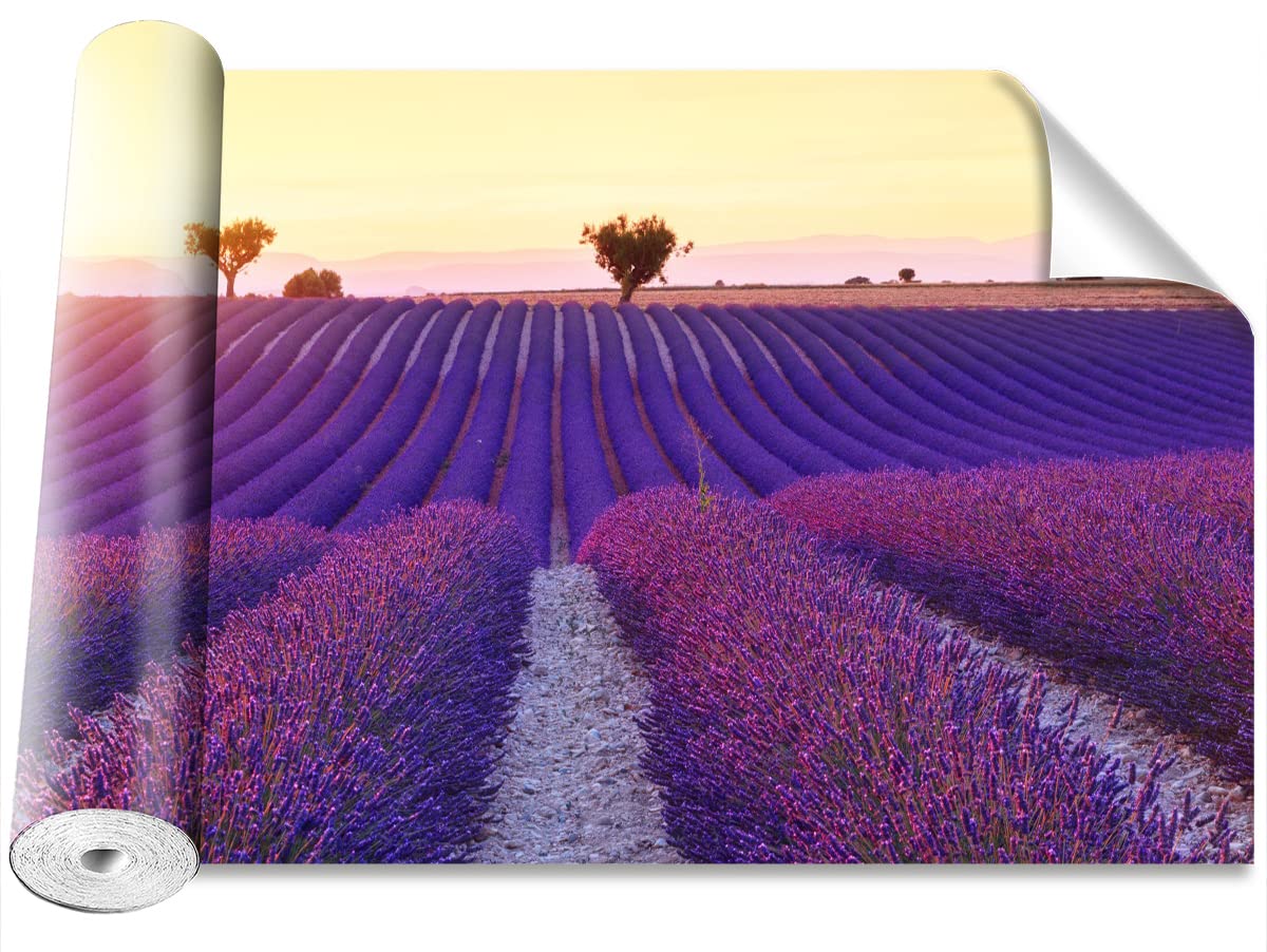 Stickers Muraux lavande Tulup pour créer une ambiance provençale dans votre salon