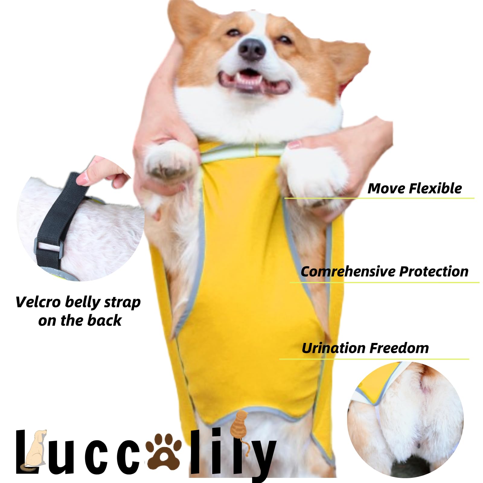 Chubasquero para Perro con Correa para el Vientre y Orificio de Correa, Ajustable, Tira Reflectante, Impermeable, Ligera, con Bolsa de Almacenamiento