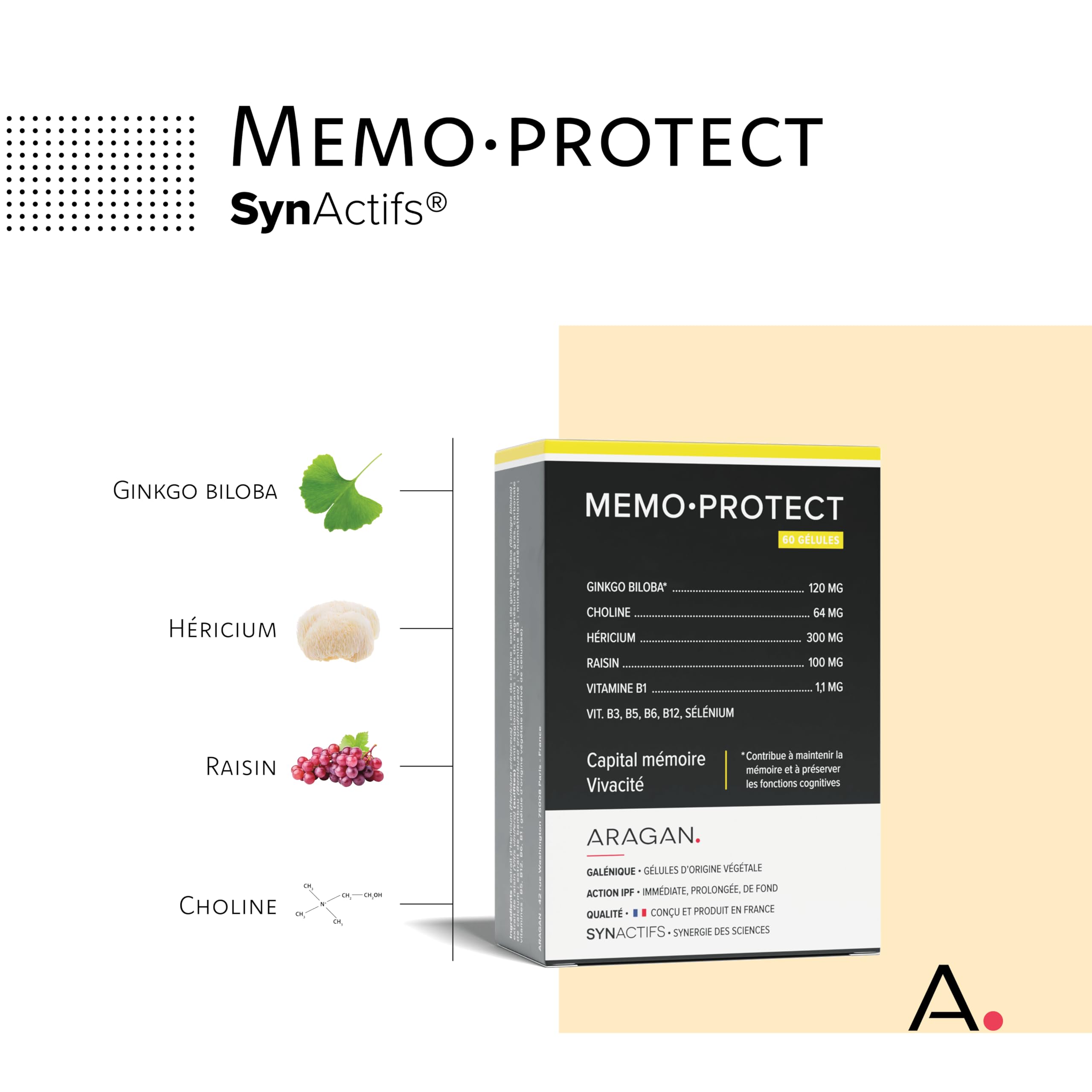 MemoProtect - Complément Alimentaire Mémoire, Concentration & Vivacité - Ginkgo Biloba, Vitamines B, Selenium - Aragan - 60 gélules - 30 à 60 jours
