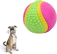 SPOT Sensory Ball 2.5 Inch for Dogs - Multi-Sensory Fetch Toy with Bell, Squeaker, Beef Scent, Teeth Cleaning Nubs, Durable TPR Rubber