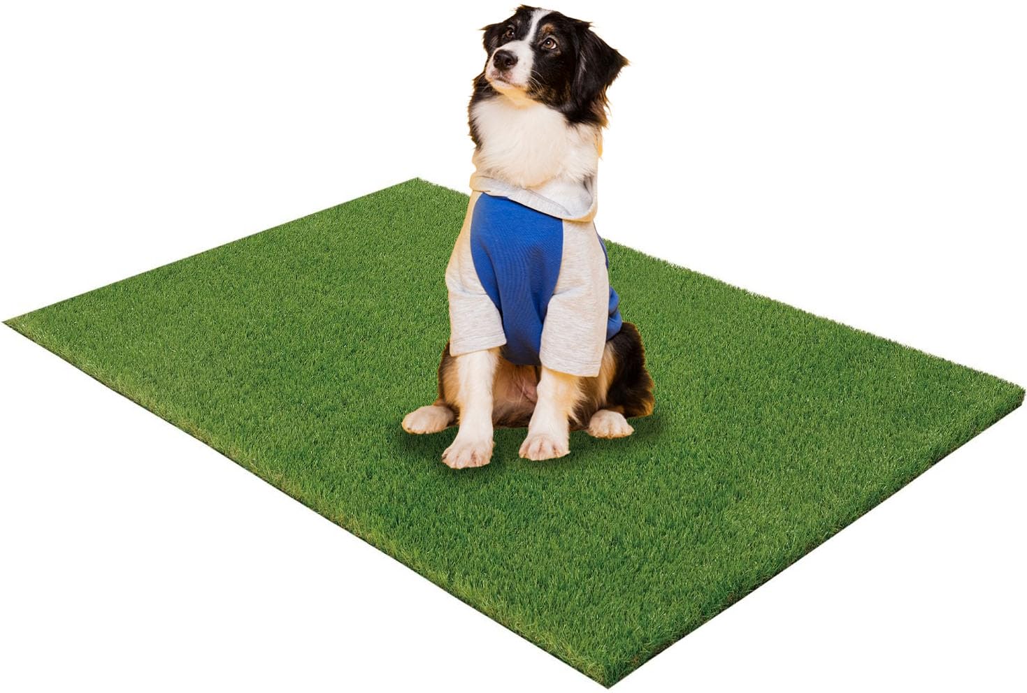 Reusable Potty Training Grass Mat for Dogs - 29.5 X 43.3 Inch Artificial Turf with Drainage Holes, Washable Dog Potty Pad for Indoor & Outdoor Use,