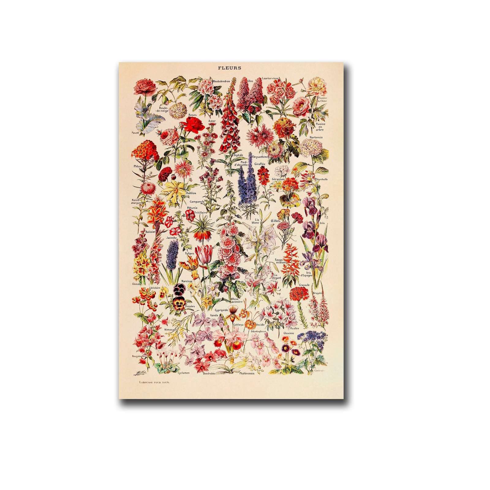 500 Piece Jigsaw Puzzle for Adults - Vintage Flower Challenging Educational Game Fun Family Activities Garden Puzzle Floor Props Kid Gift Unzip Toy