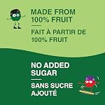 GoGo squeeZ Fruit Sauce Snack Pouches Variety Pack - Apple Apple, Apple Strawberry. 100% Real Fruit Puree, No Sugar Added, No Preservatives, 12 x 90g Squeezable Fruit Snacks