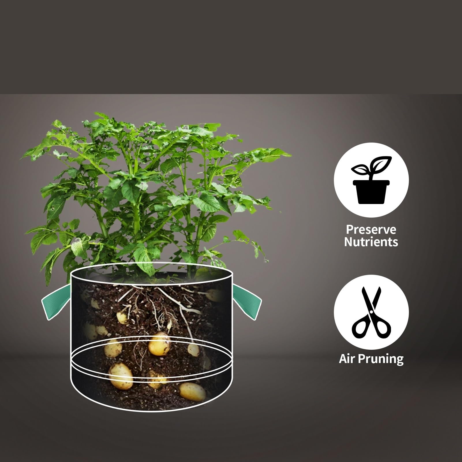 Lot de 5 Sacs Culture réutilisables 5/10/15 gallons (19/38/57 litres) en Tissu Non tissé épais 300 g avec poignées for la Plantation légumes et Fleurs au Jardin(15 Gallon)