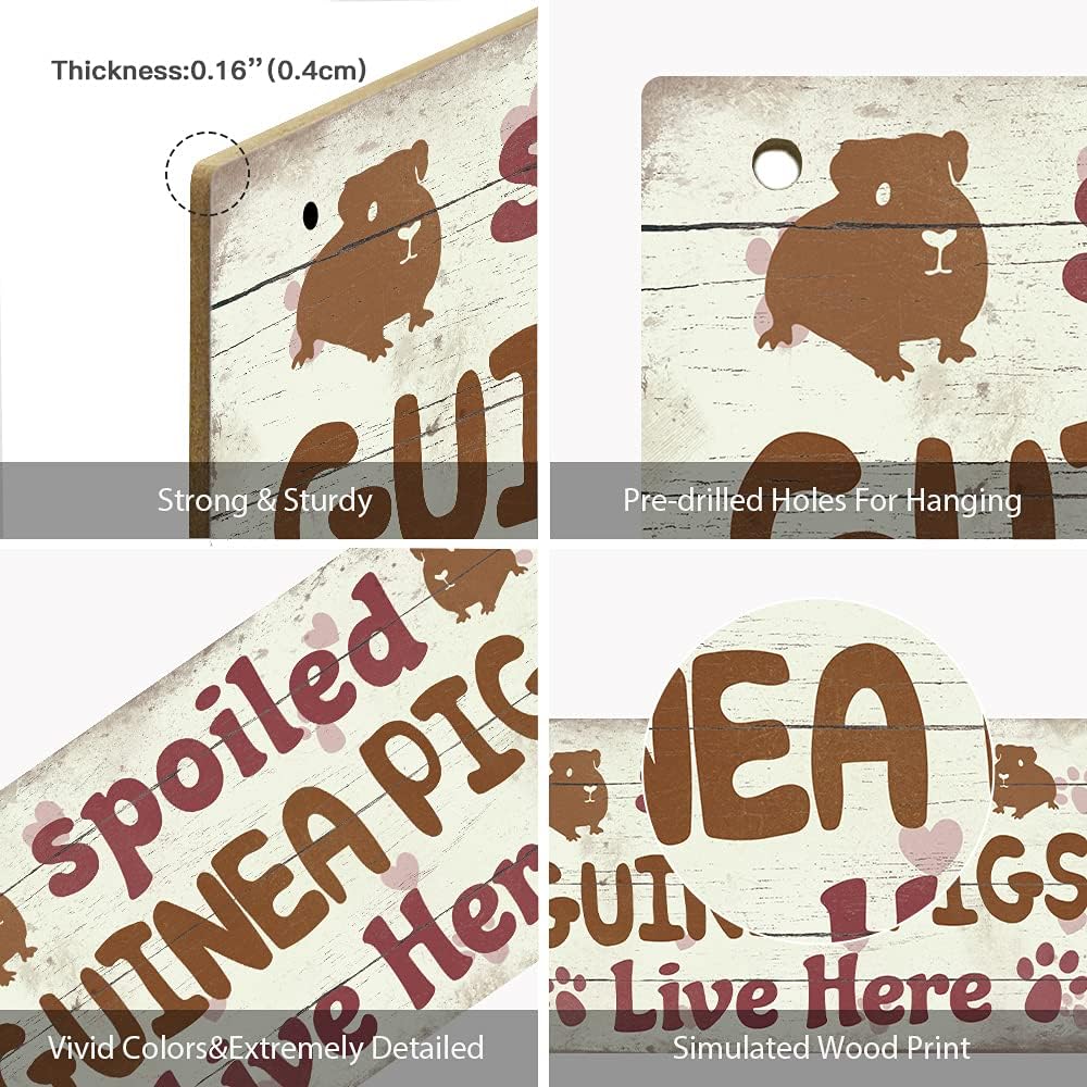 Placa De Pared "Cuidado Con El Conejillo De Indias" - ¡Decoración Divertida Para Jaulas O Puertas!