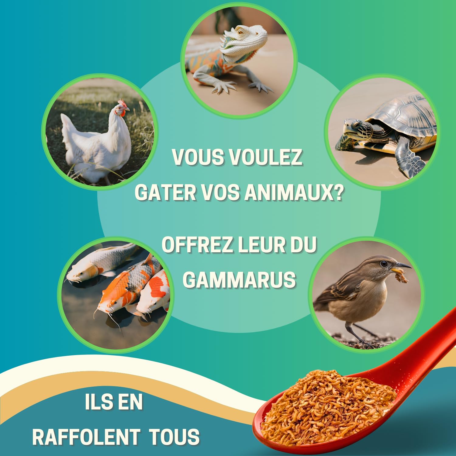 50g Gammarus wysokiej jakości | Białko +42% | Pokarm dla żółwi, Koi, Ryb, Gady | Suszone Krewetki Słodkowodne | Worek zamykany | Naturalny suplement diety | Francuska marka