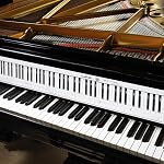 LIOOBO Piano Keyboard Guide Paper 88 Key Note Chart Finger Simulation Practice Aid for Beginners and Teachers Rollable Piano Reference Sheet for Home Learning