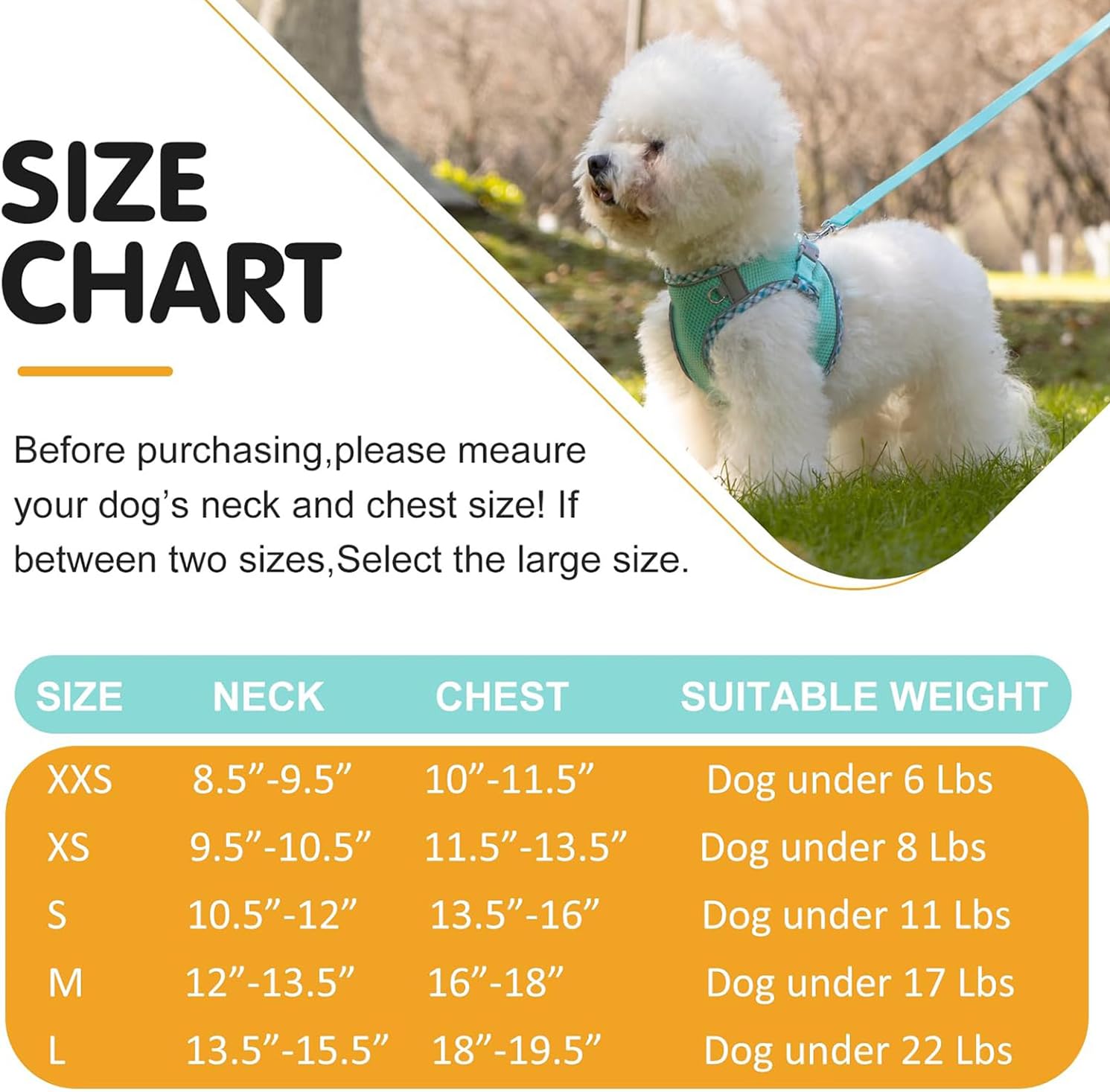 Dog Harness and Leash Set,Step-in Air Dog Vest, Reflective, No Pull Collarsfor Small, Medium Dogs, Cats - Image 4
