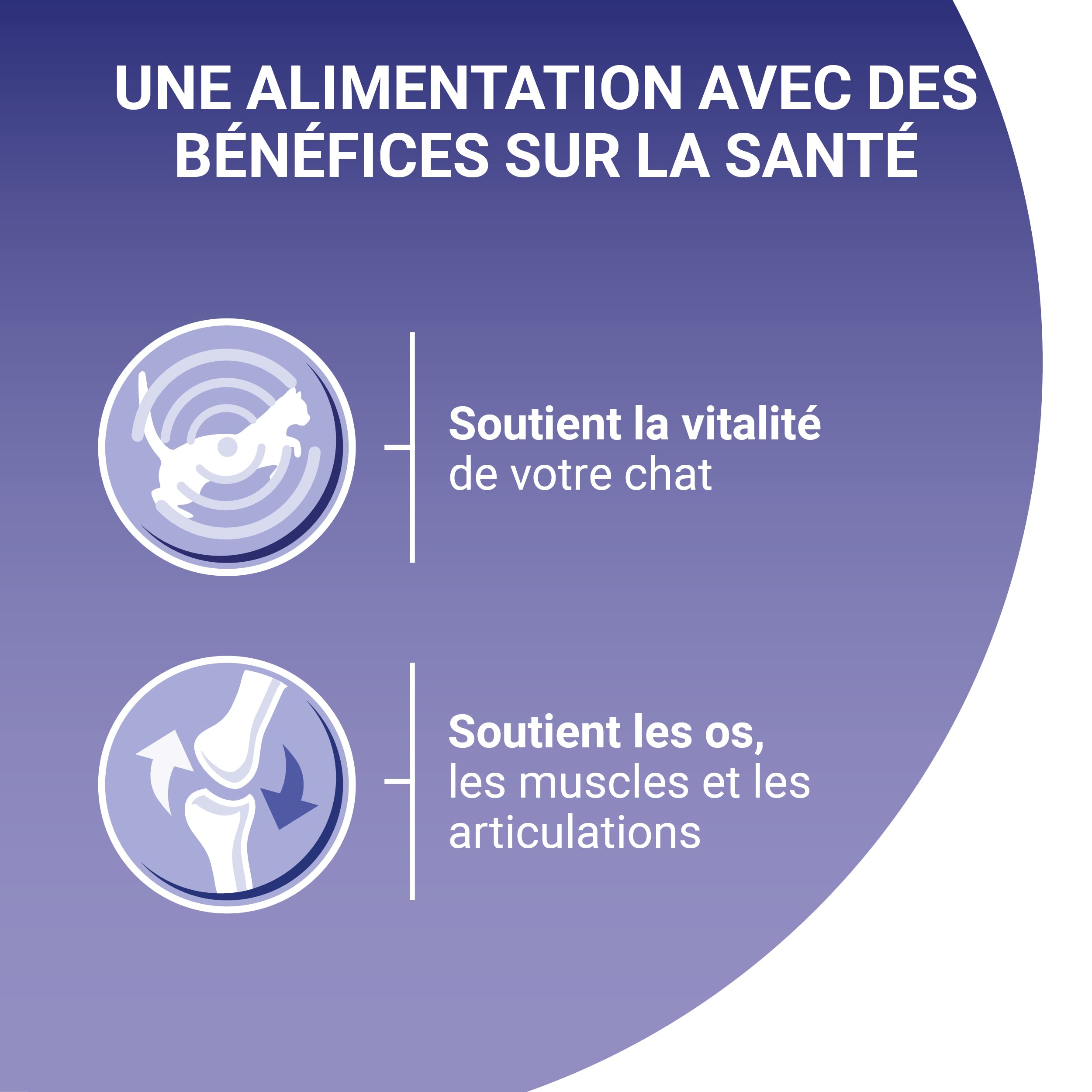 PURINA ONE | BIFENSIS | Chat Adulte | Soutien la vitalité du Chat, Les os, Les Muscles et Les articulations | Effilés en Sauce | Poulet, Boeuf | Sachets Fraîcheur | Lot de 12 (4 x 85g)