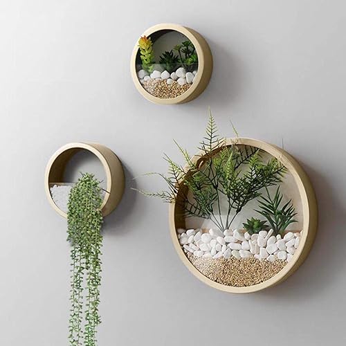 Miniatura 1 de Juego de 3 macetas de pared, maceta moderna de vidrio redondo para suculentas, florero colgante con círculo de hierro para hierba, cactus pequeño,