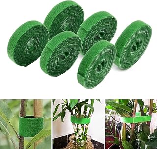 Gozaqe Plant Tie Strap(1 Mtr X 12Mm,6 Roll) Plant Holder,Reusable | Adjustable,Multi-Use Tie Tape For Plant Support For Cl... Price In India