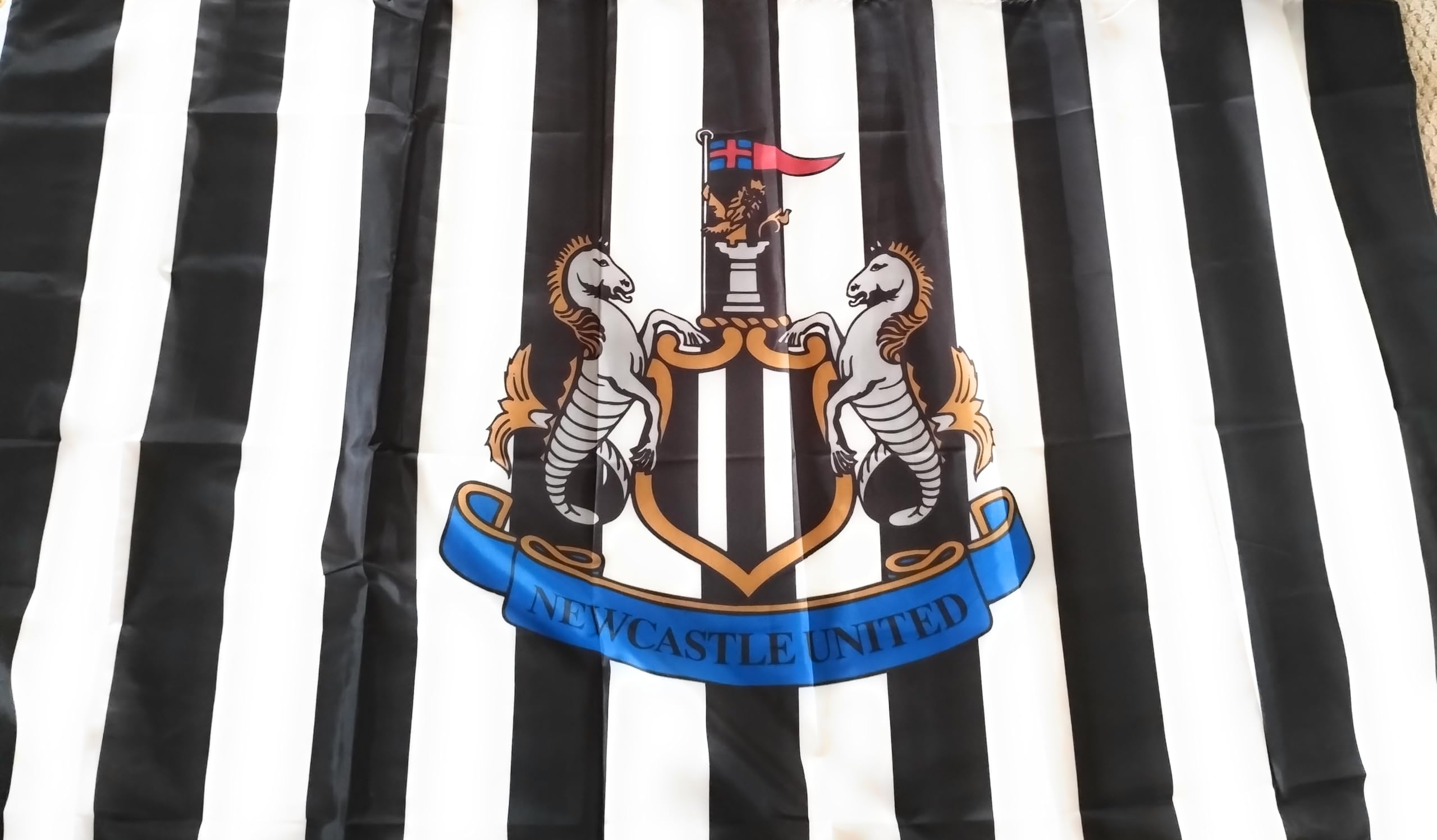 Drapeau Newcastle