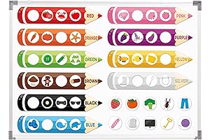 10 Pack Colorful Magnetic Sorting for Kids