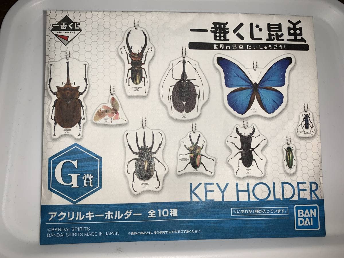 イモムシガチャ 昆虫アクリルキーホルダー リアル 昆虫 グッズ