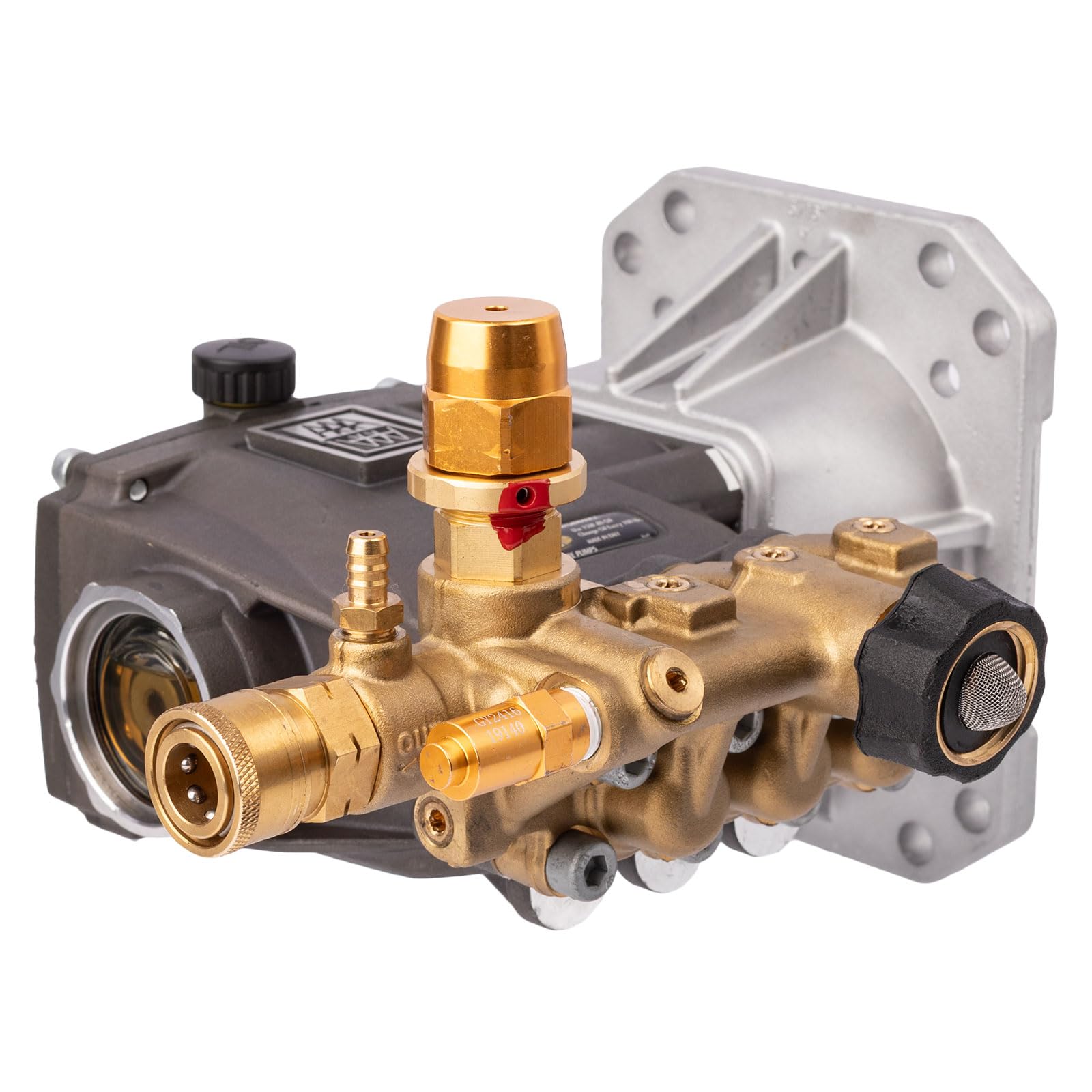 Amazon.com : AAA Model DW3635 Triplex Plunger Pump OEM Replacement