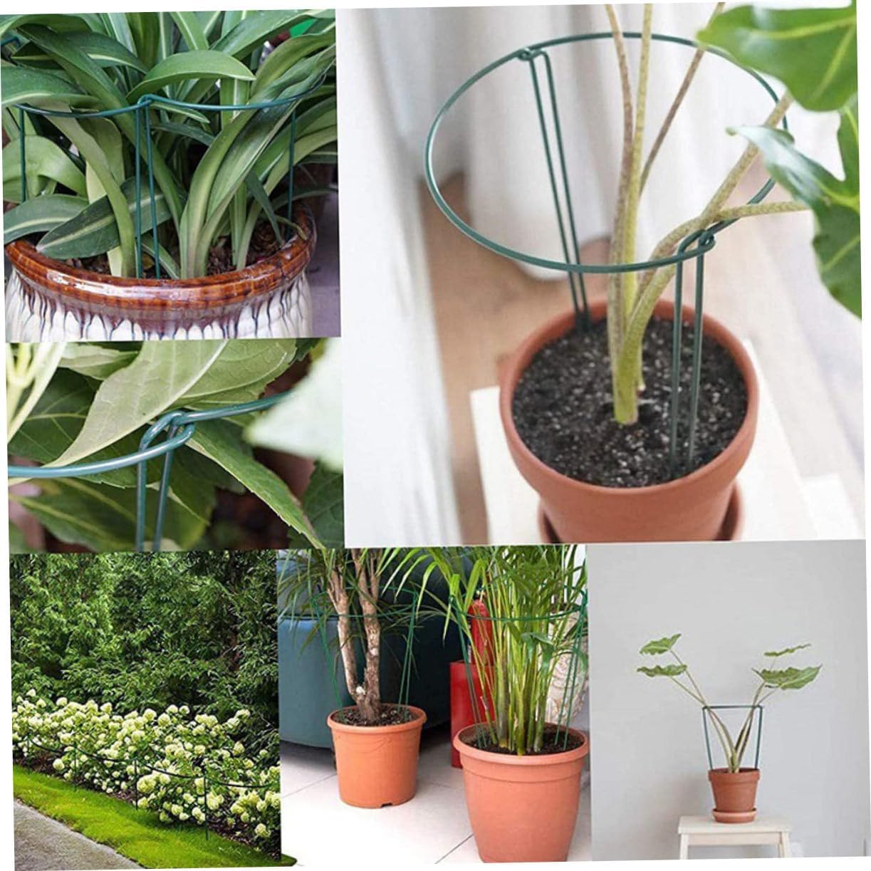 GALPADA 6pcs Plant Support Stakes Outdoor Half Round Flower Plant Supports Pointed Base