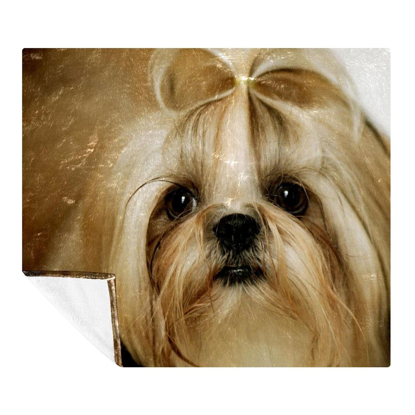 Manta de forro polar, súper suave, lujosa manta de cama Shih Tzu cachorro perro
