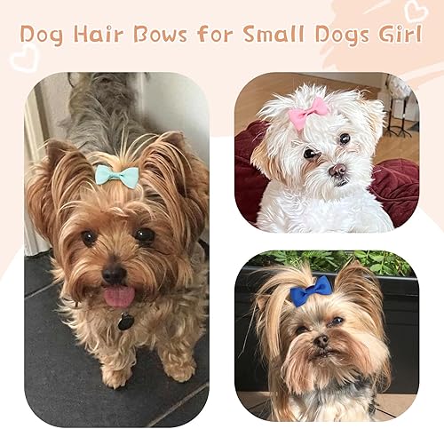 Miniatura 4 de 40 lazos (20 pares) para el pelo de perro con bandas de goma, lazos para cachorros para perros y niñas de tamaño pequeño, lazos para el pelo de