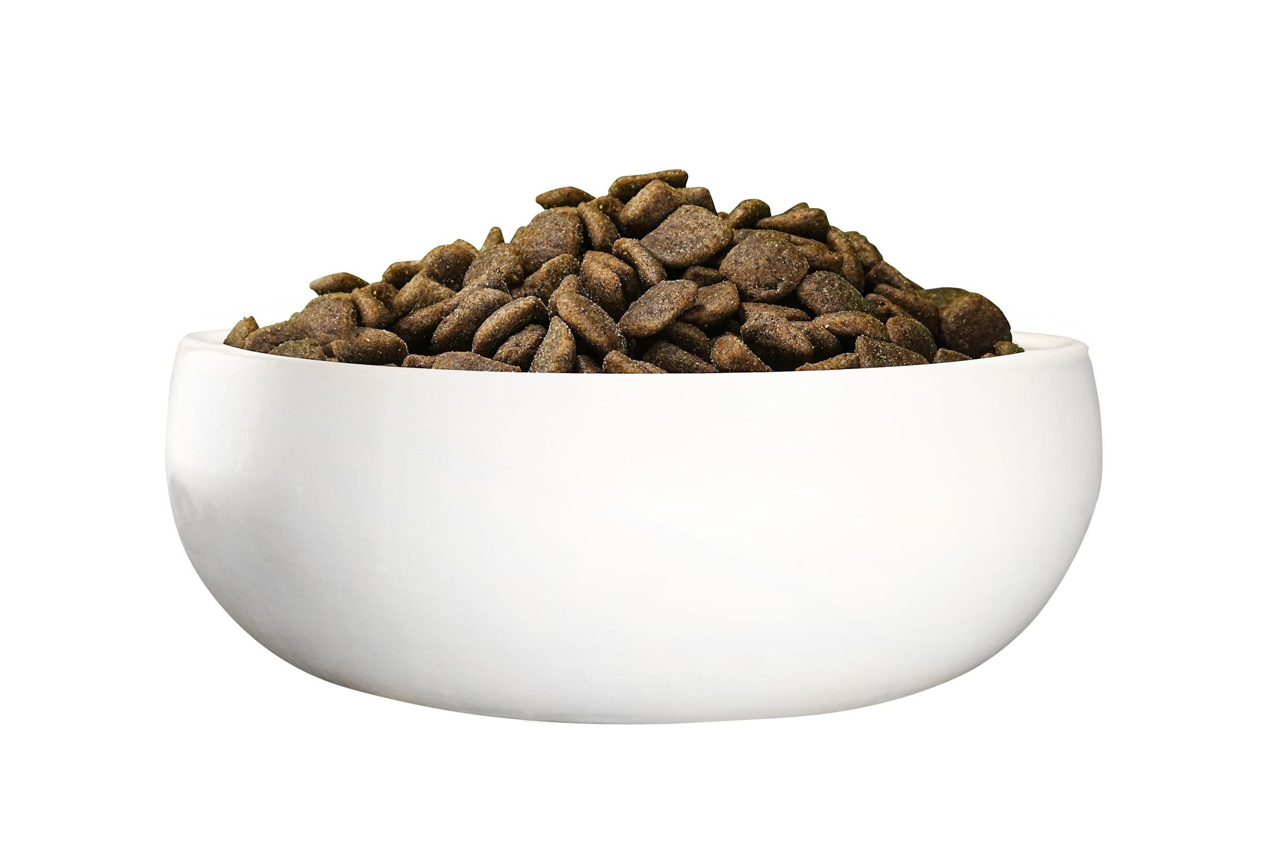 Green Petfood InsectDog Hypoallergen (1 x 10 kg) | Adult | Premium Trockenfutter für ausgewachsene allergische Hunde | getreidefrei mit Insektenprotein | nachhaltiges Hundefutter | (1er Pack NEU)