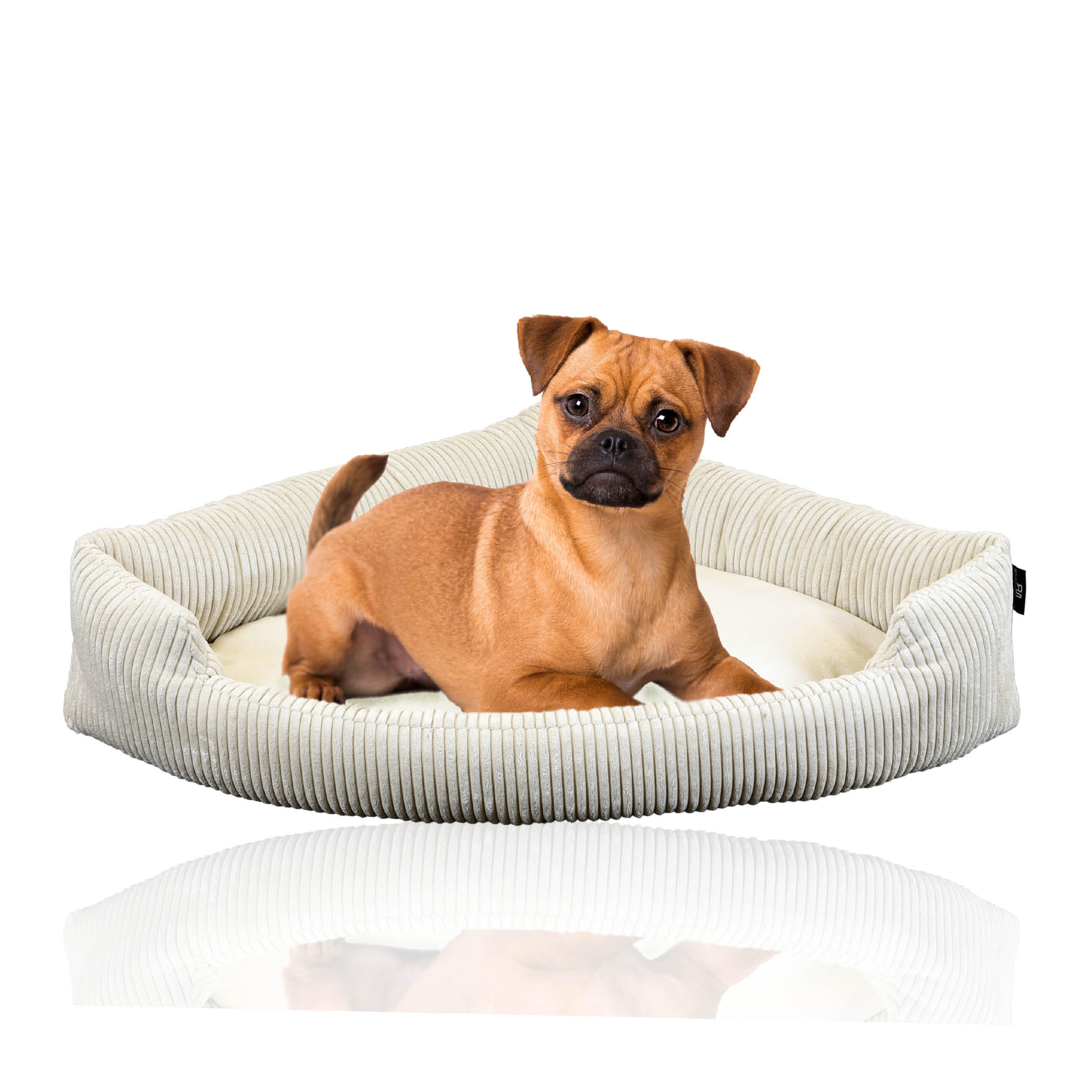 Rohrschneider Cuccia angolare XXL con morbida coperta in velluto per cani di grossa taglia o 2 cani | Cuscino per cani di taglia grande (2 95 x 70 cm)