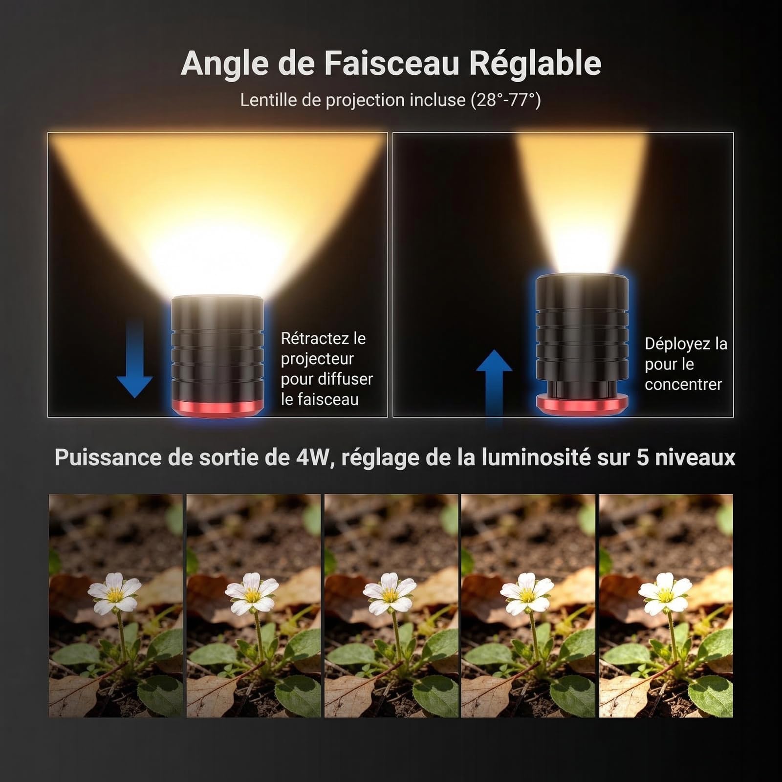 NEEWER Basics ML01 Lampe LED USB C pour la macrophotographie, 4W, IP54, Faisceau Flexible et réglable, 1700lux, IRC 95, 5 Couleurs RVB, Batterie 2500mAh, Griffe Porte-Accessoires, Pince