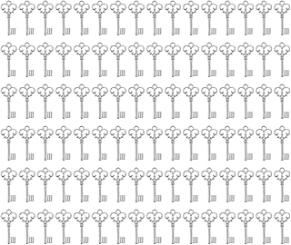 PPhtony Small Metal Vintage Skeleton Keys Charms for Pendant Earring Bracelet Necklace Jewelry Making Wedding Christmas Halloween Party Favors Handmade Craft Project, 100PCS