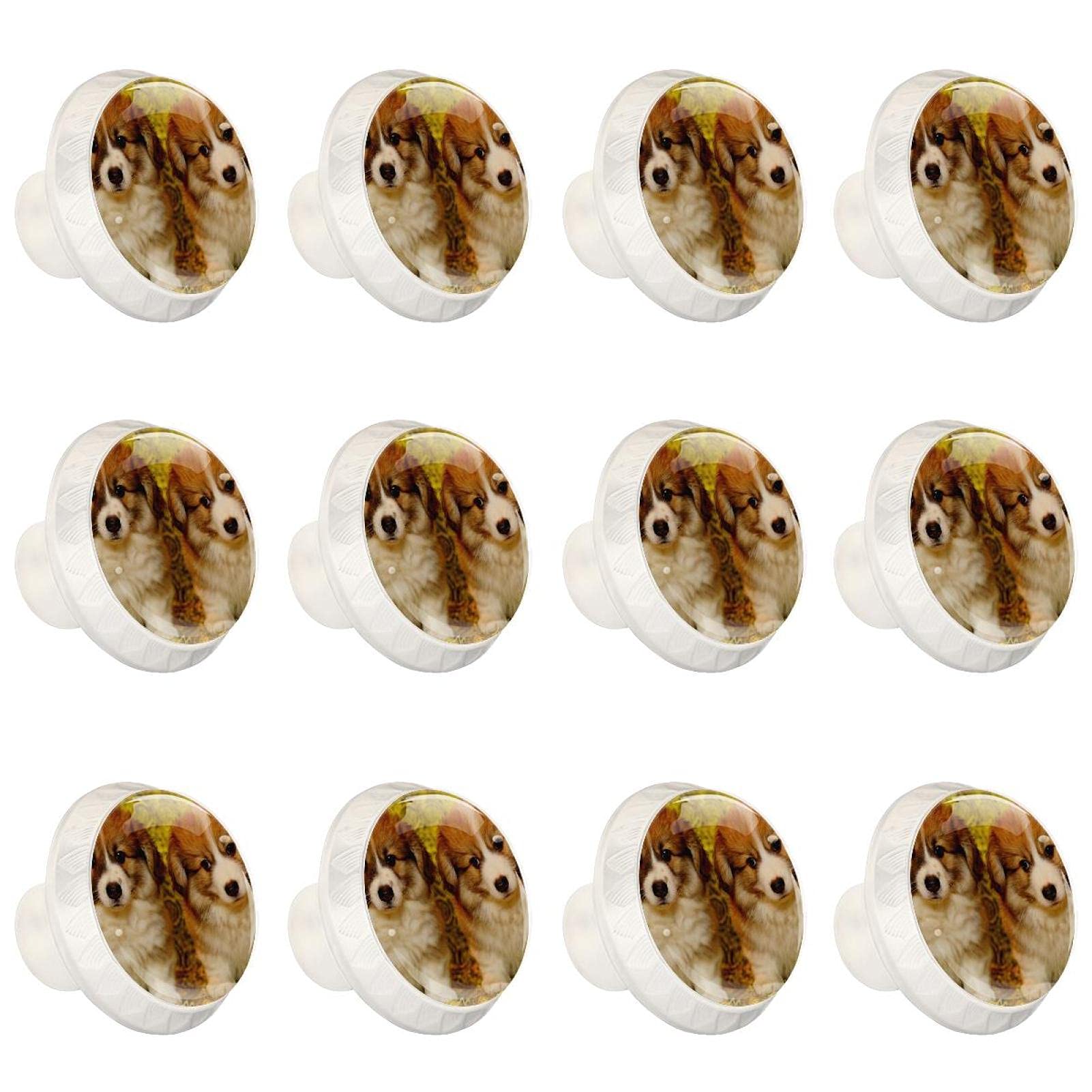 Boutons d'armoires de cuisine Corgi lot de 12 poignées de tiroir rondes en motif chien