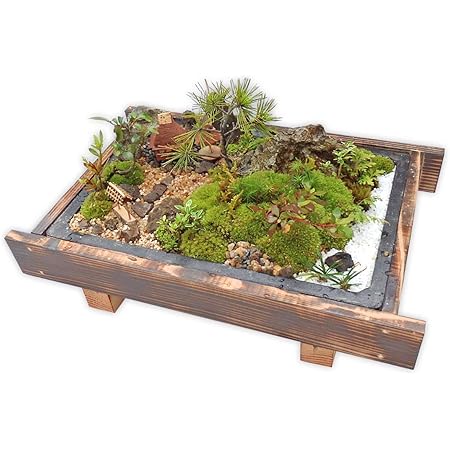 Amazon 盆栽 ミニ庭園 盆景 山荘 M あるまま 観葉植物 通販
