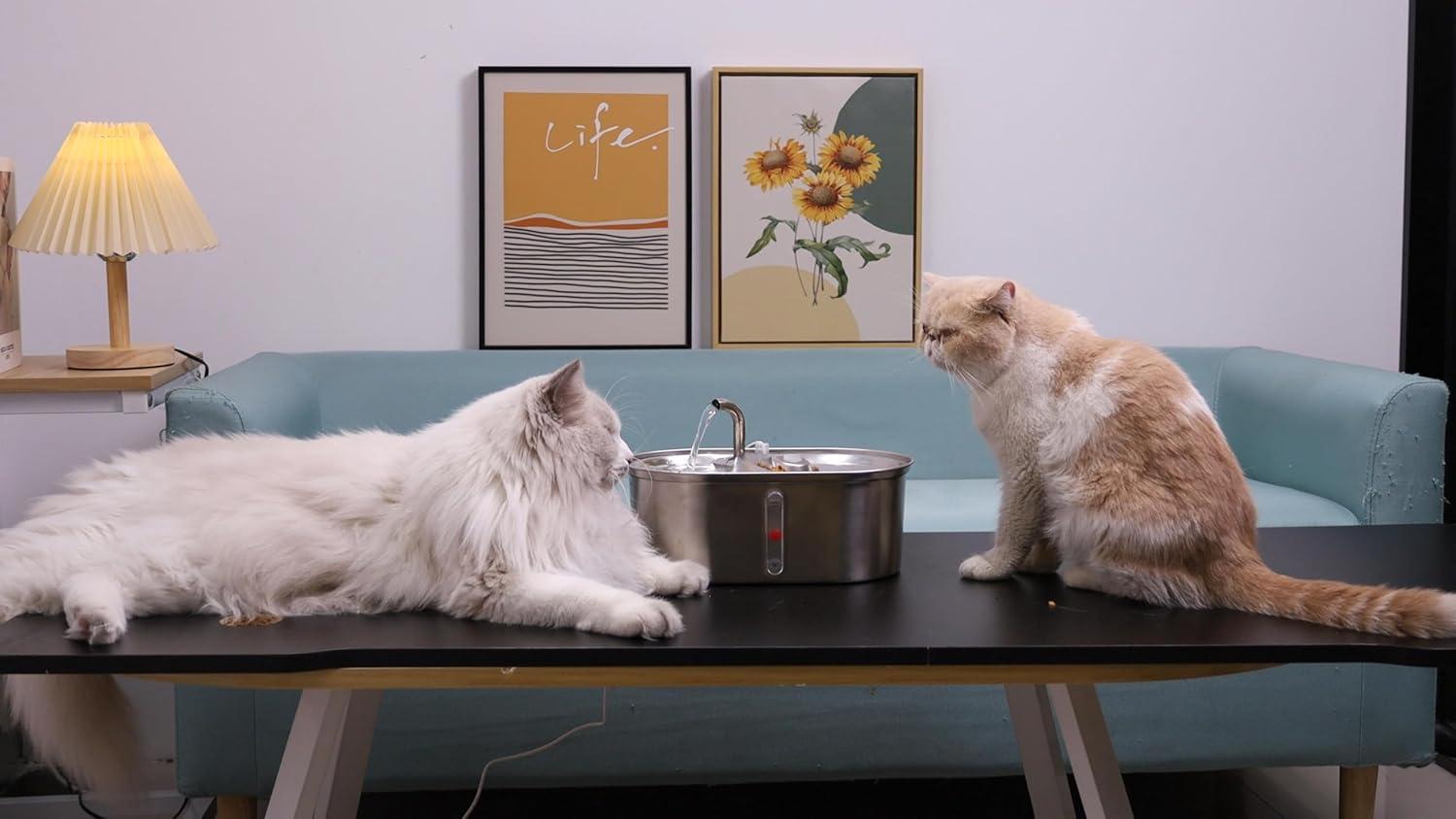 NPET WF140 Cat Water Fountain Food Bowl Stainless Steel 2 in 1 with 8 PCS Filters, 101oz/3L Automatic Pet Water Fountain, Dog Water Dispenser with Smart Pump 2 Filters for Cats, Dogs, Multiple Pets