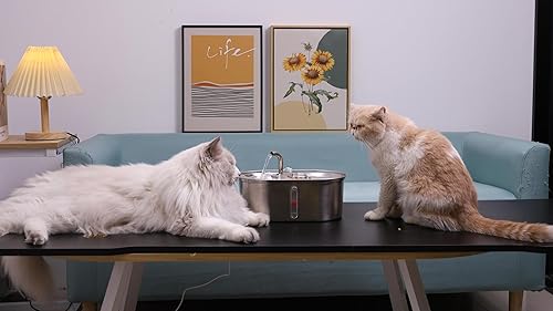 Miniatura 8 de NPET WF140 - Fuente de agua para gatos de acero inoxidable 2 en 1 con 8 filtros, fuente automática de agua para mascotas de 101 oz3 L, dispensador