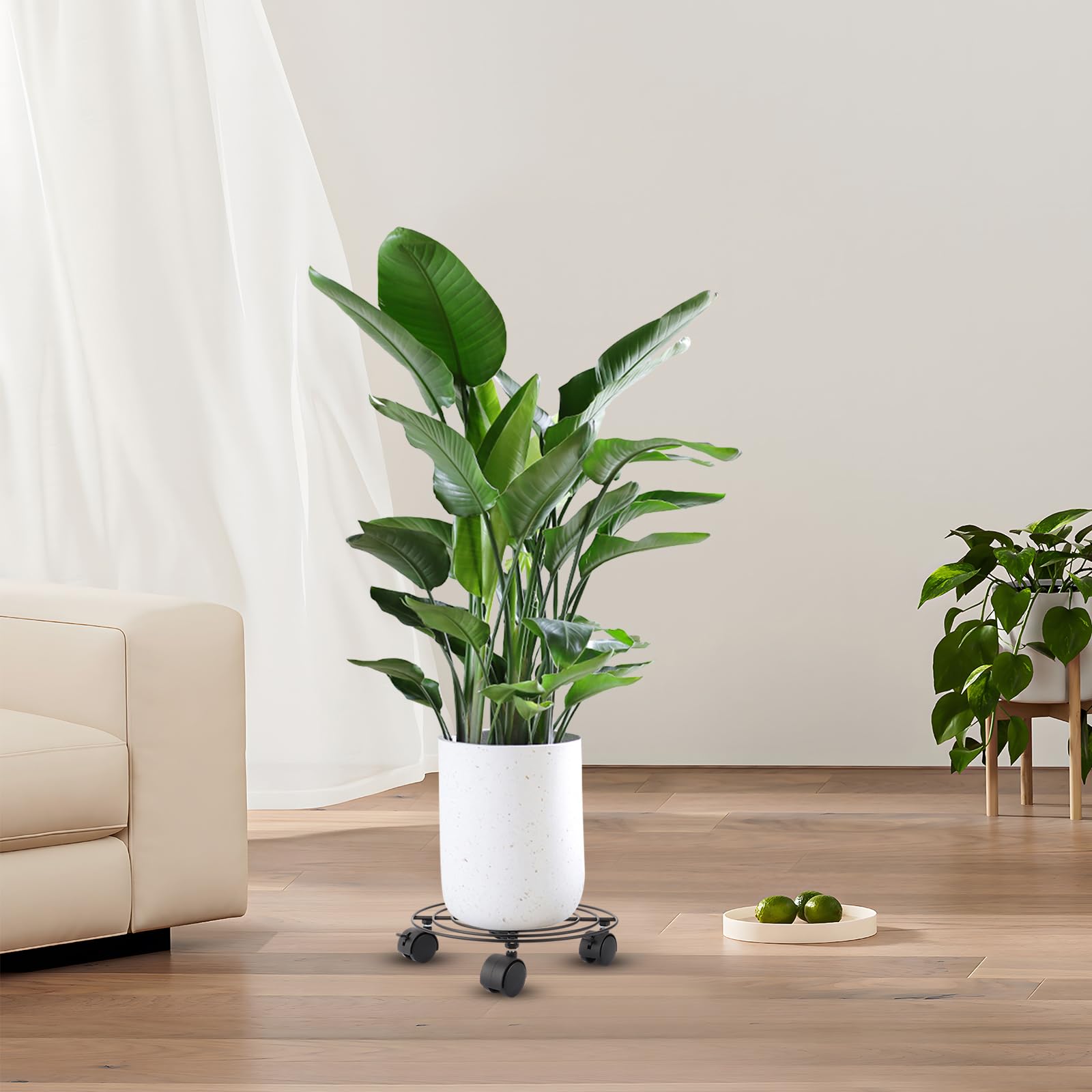 Lot de 4 rouleaux ronds pour plantes - 27 x 5 cm - Résistants aux intempéries - Soucoupe avec roulettes - 360 ° - Planche à roulettes pour pot de fleurs - Charge maximale : 40 kg