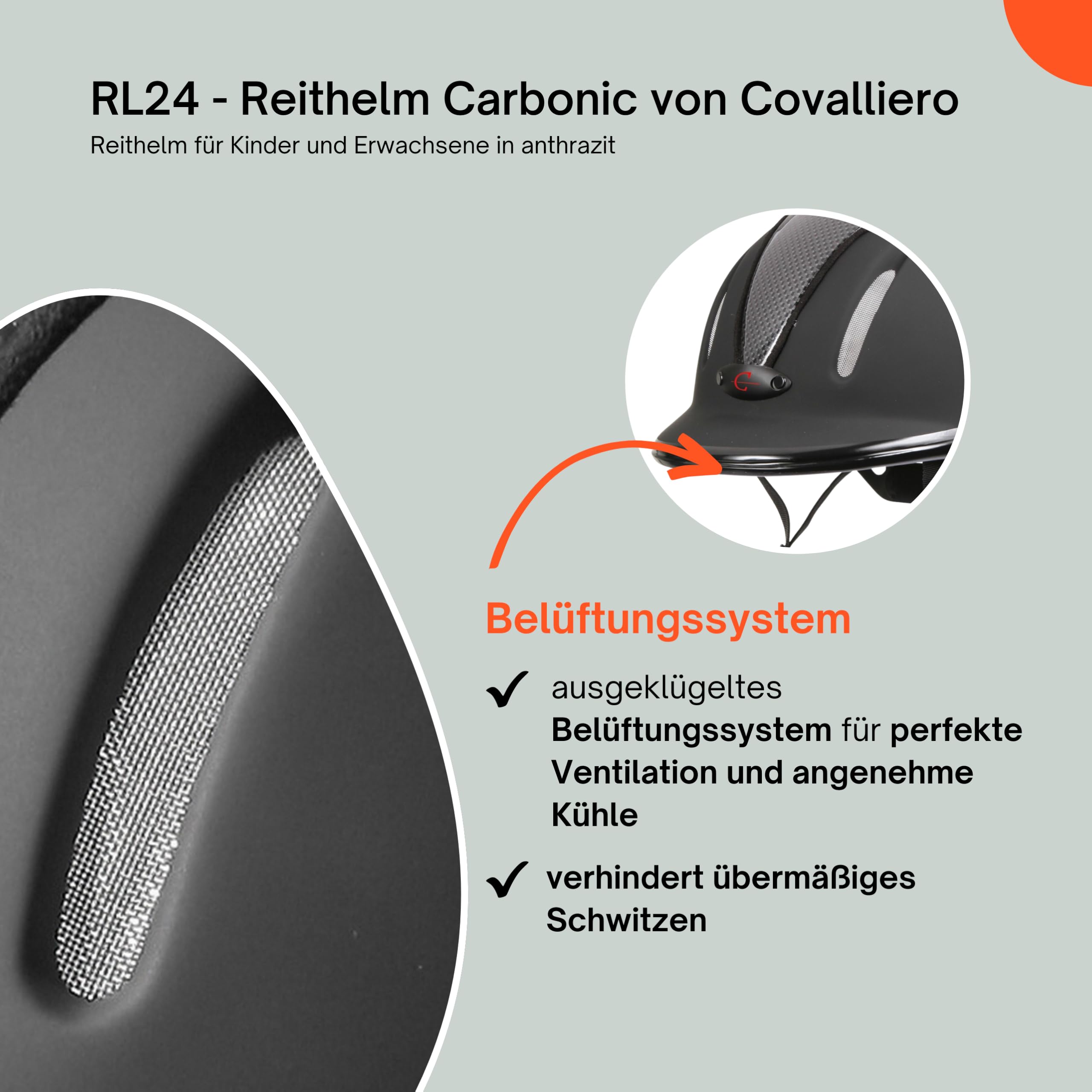 RL24 - Reithelm Carbonic von Covalliero | Reitkappe Kinder, Damen & Herren | mit 3-Punkt-Befestigung & optimalem Belüftungssystem | Helm zum Reiten | Reiterhelm in Anthrazit | Größen XS, S/M, L/XL